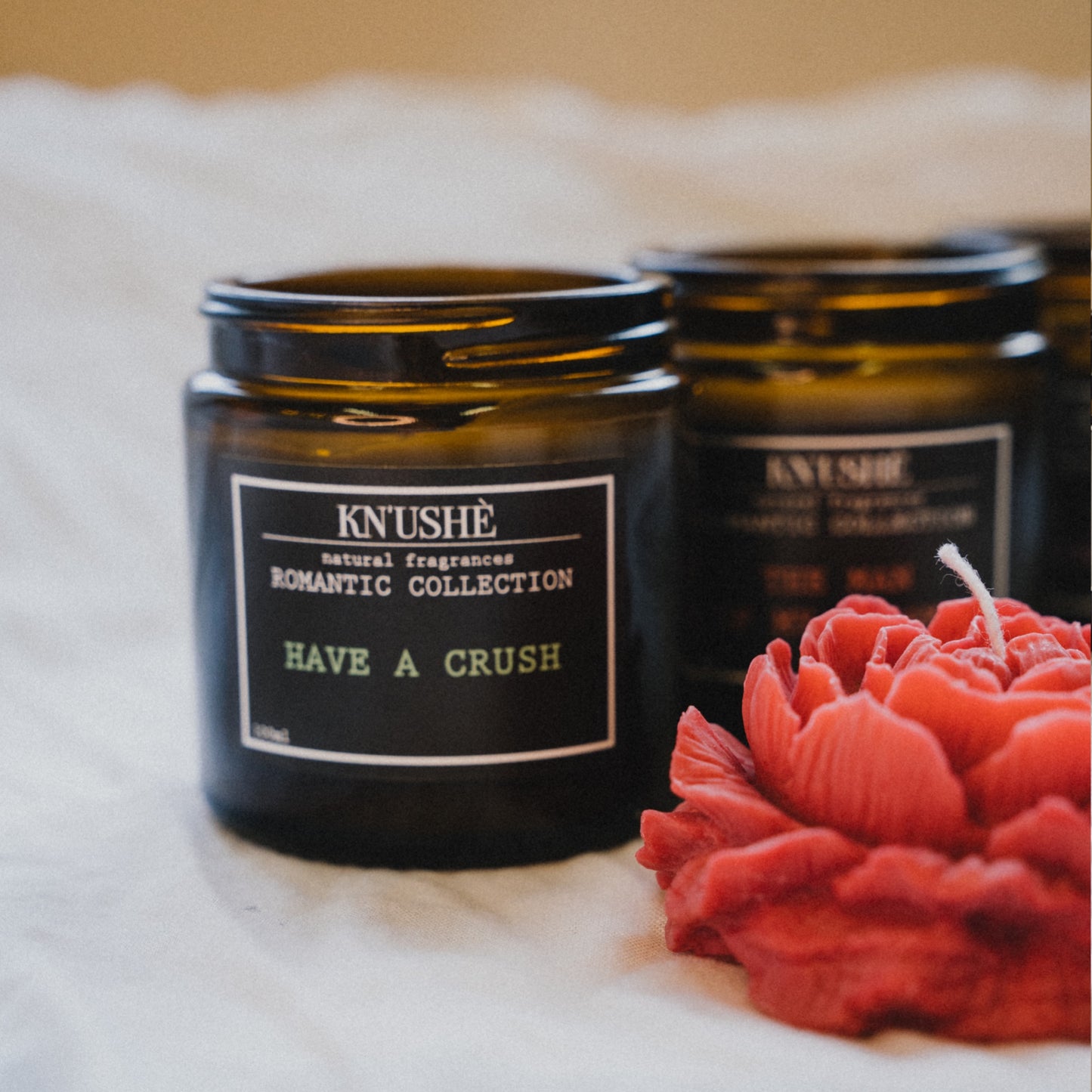 Soy wax candle HAVE A CRUSH
