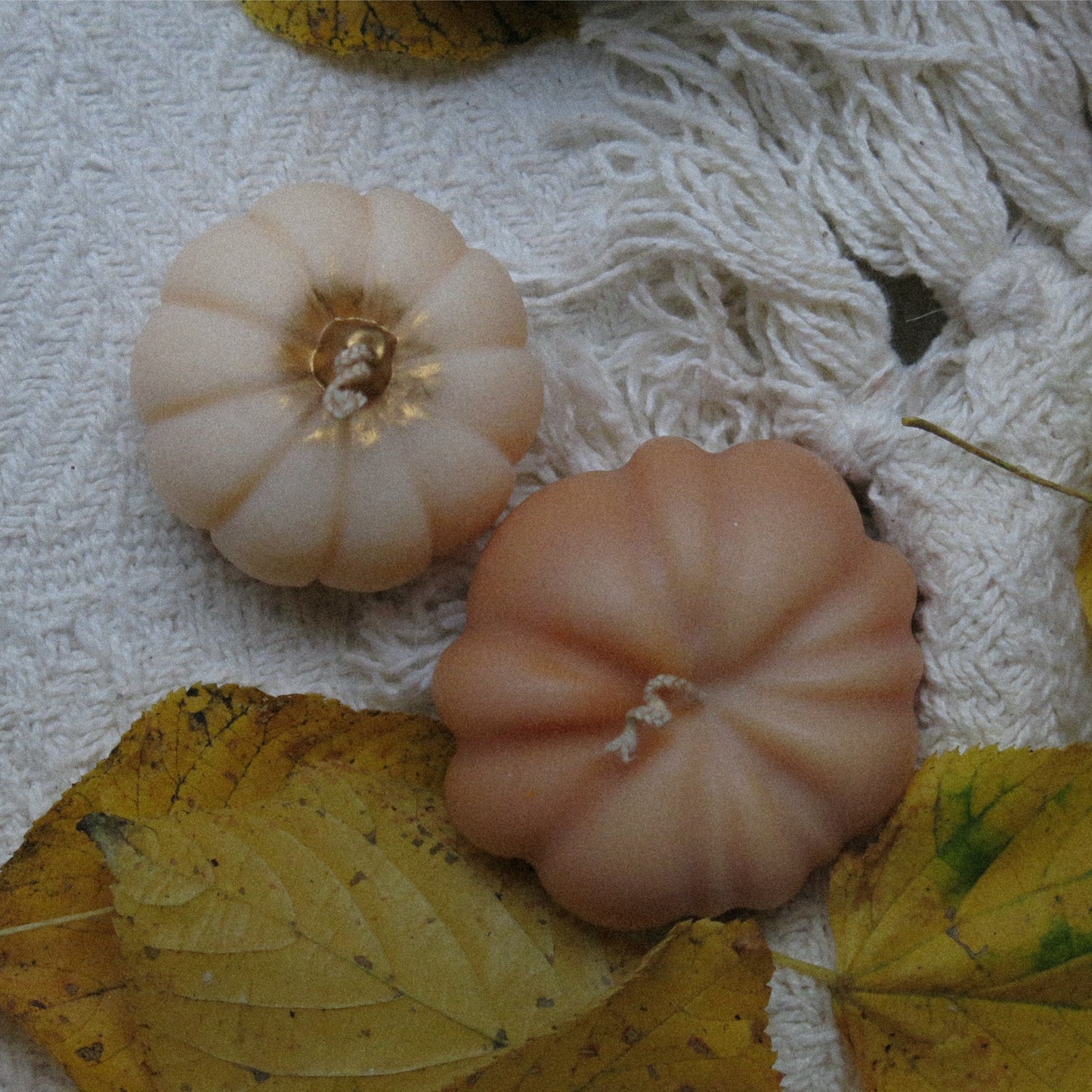 Decorative Pumpkin Candles Set of 2