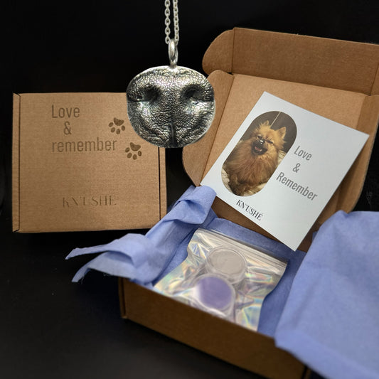 Pet Nose Impression Jewelry Nose Print or Impression Kit