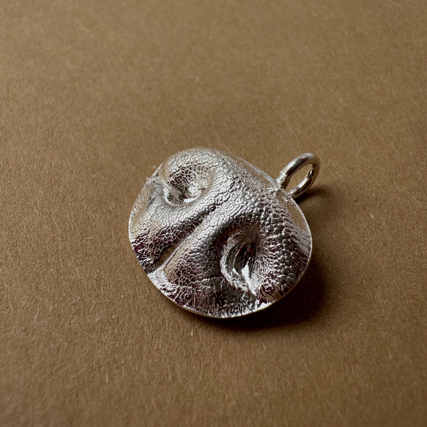 Pet Nose Impression Jewelry Nose Print or Impression Kit