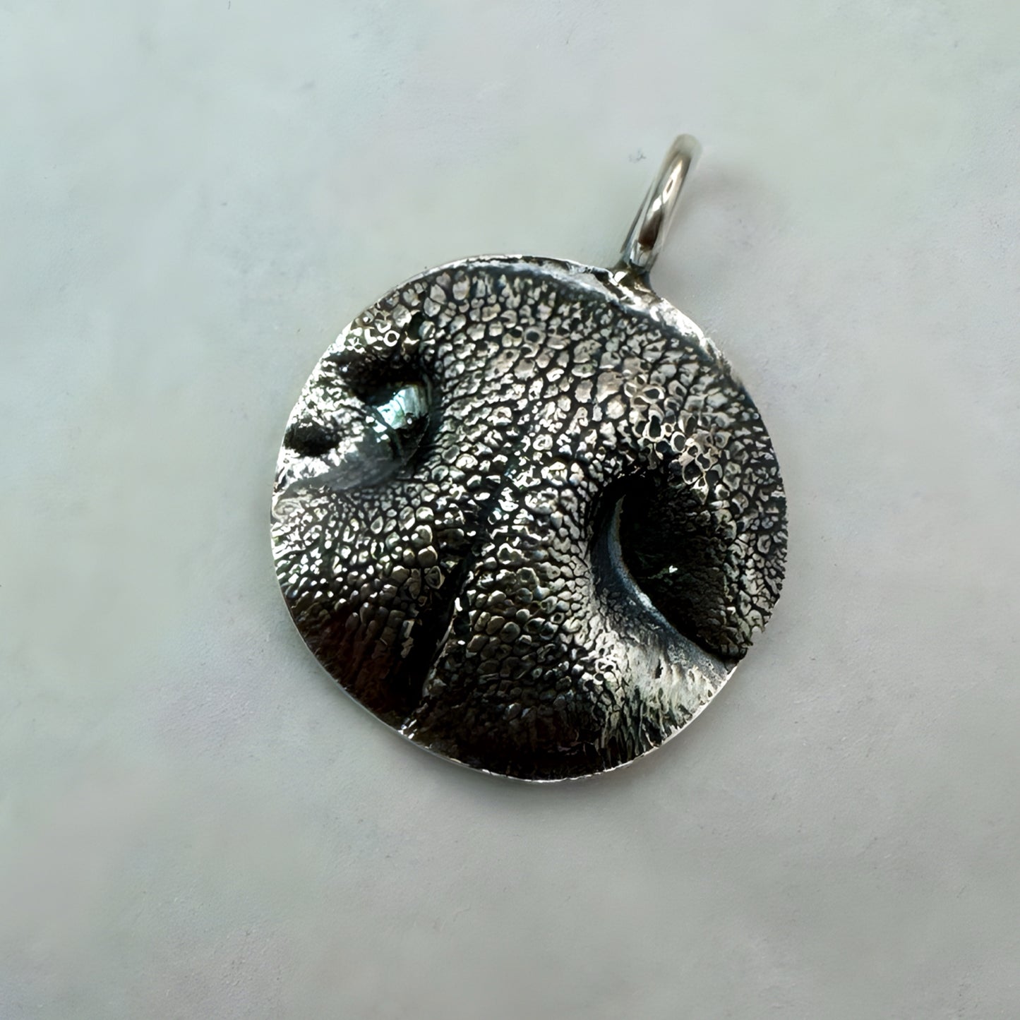 Pet Nose Impression Jewelry Nose Print or Impression Kit