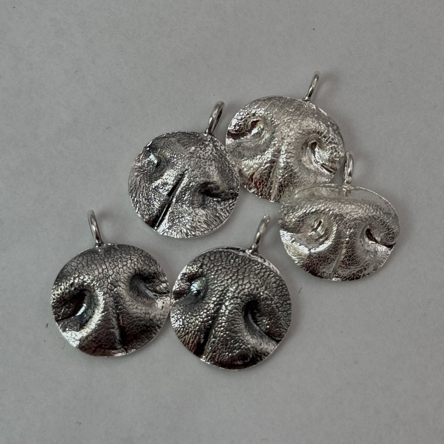 Pet Nose Impression Jewelry Nose Print or Impression Kit