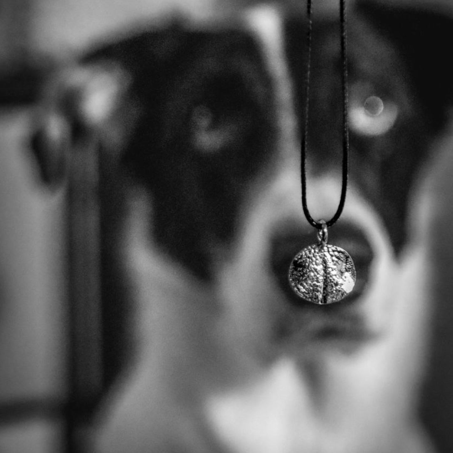 Pet Nose Impression Jewelry Nose Print or Impression Kit