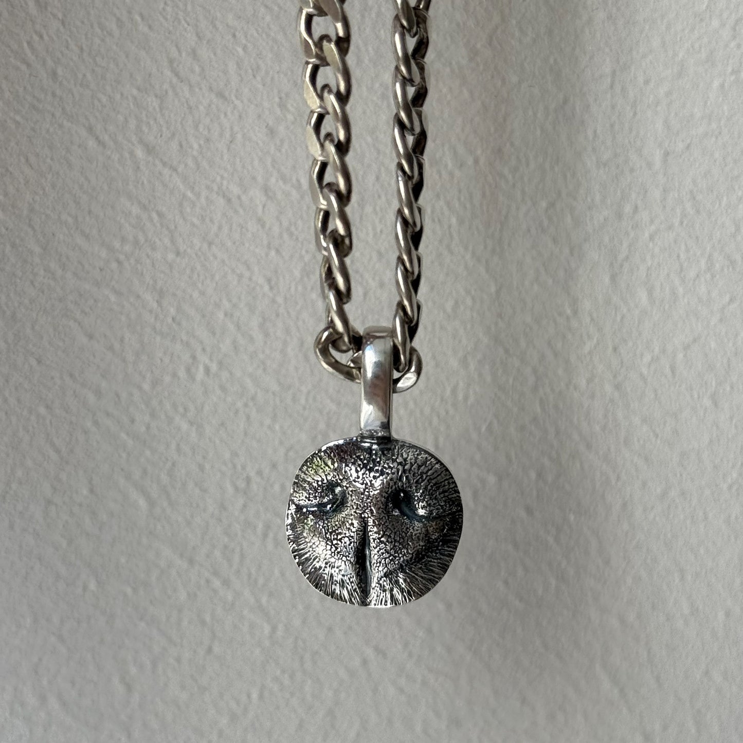 Pet Nose Impression Jewelry Nose Print or Impression Kit