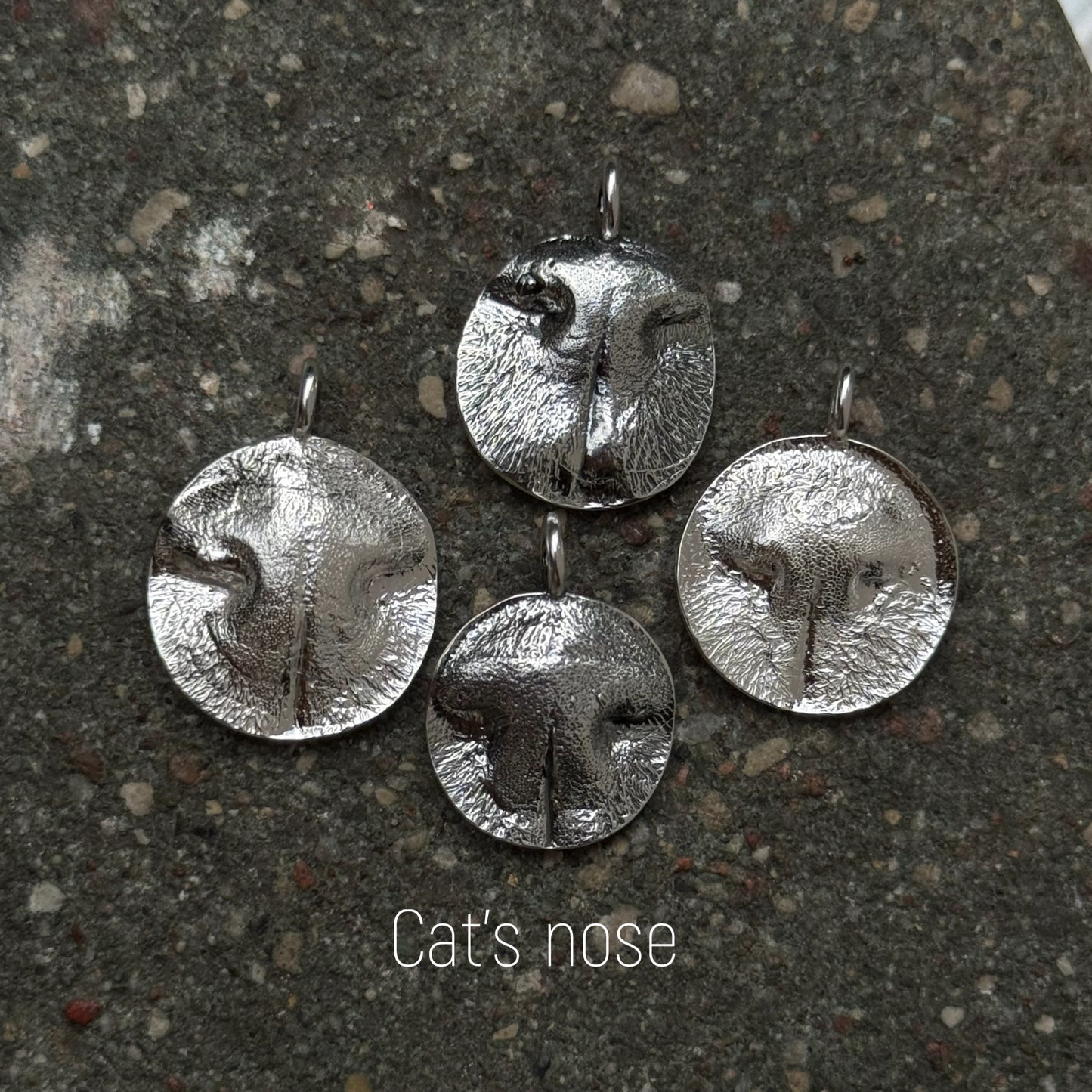 Pet Nose Impression Jewelry Nose Print or Impression Kit