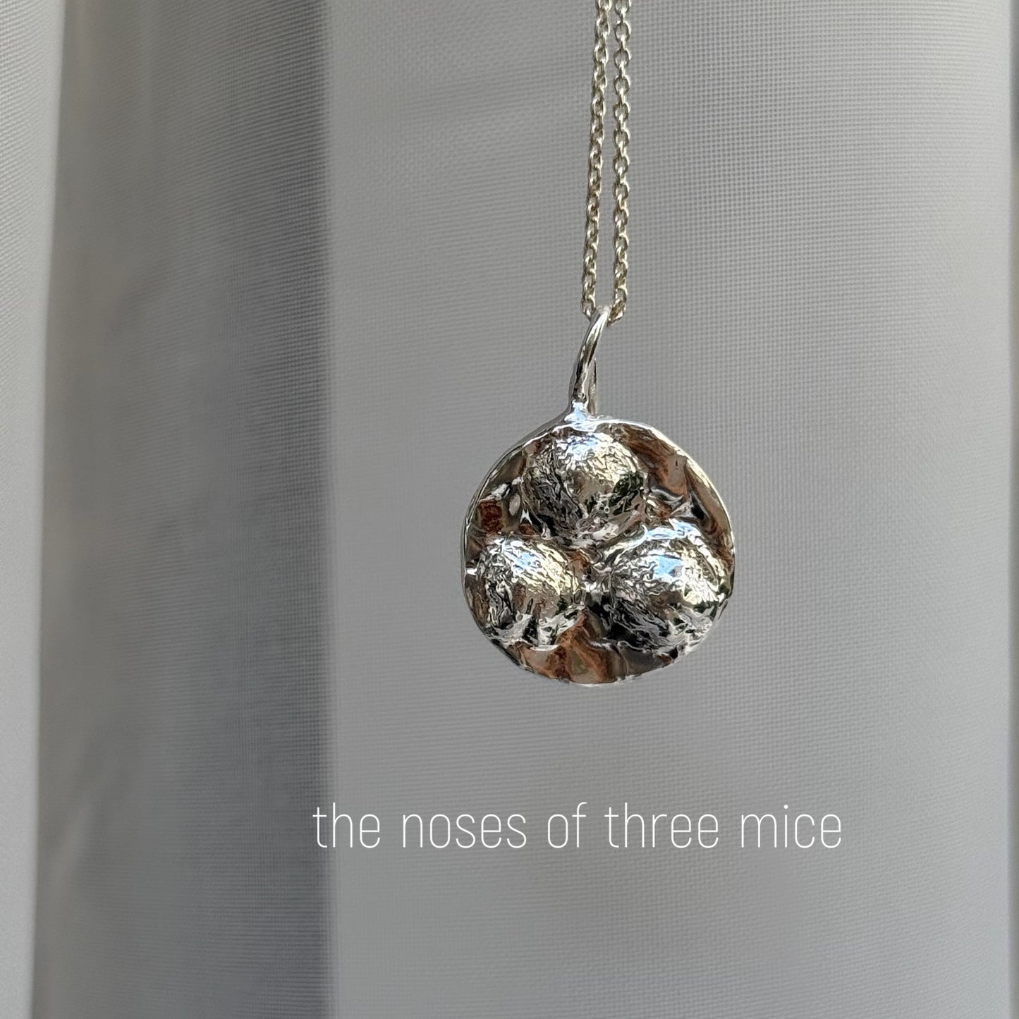 Pet Nose Impression Jewelry Nose Print or Impression Kit