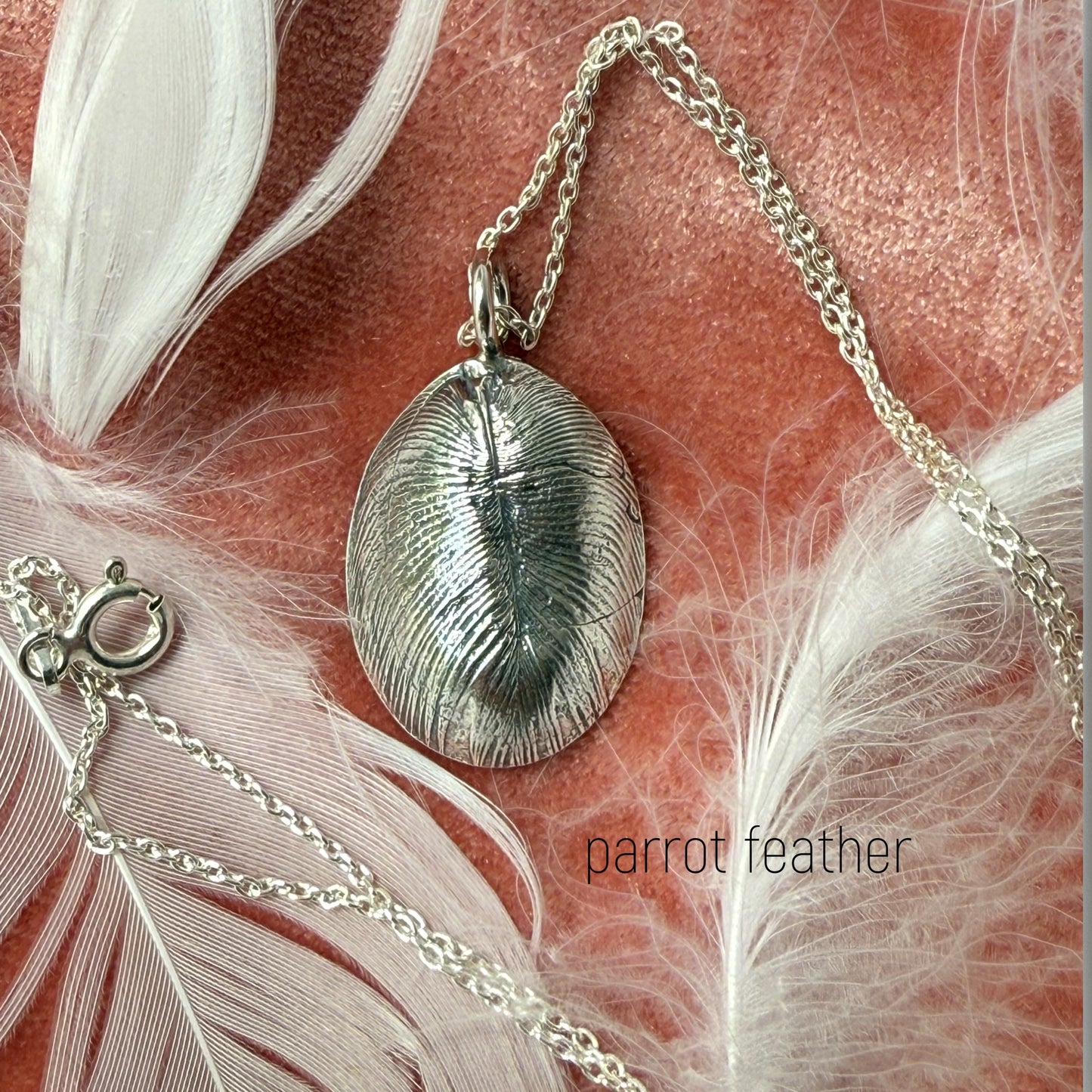 Pet Nose Impression Jewelry Nose Print or Impression Kit